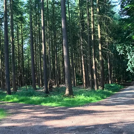 Daire Ehemaligen Schaeferhof , Cleaning Included Olsdorf (Bitburg-Prum)